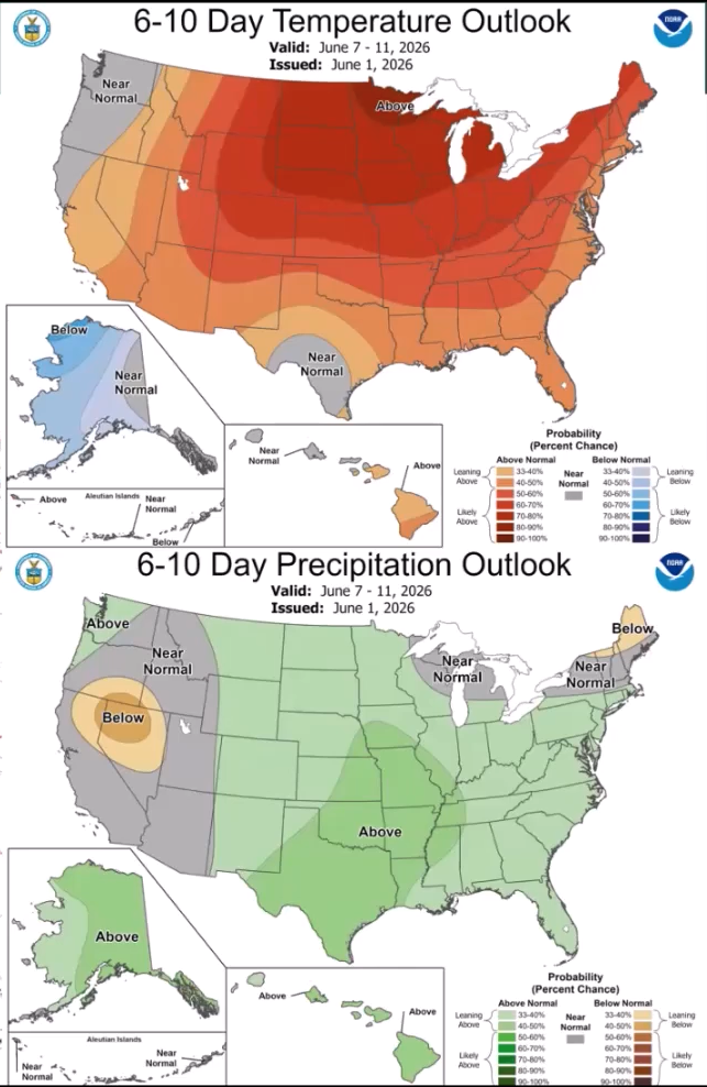 NOAA Climate Prediction Center outlook maps showing expected temperature and precipitation patterns across the United States for June 7&ndash;11, 2026. The temperature outlook indicates a high probability of above-normal temperatures across most of the continental U.S., with the strongest odds centered over the northern Plains and Upper Midwest, while parts of the Pacific Northwest and Alaska are near or below normal. The precipitation outlook shows increased chances of above-normal rainfall across much of the central and eastern U.S., especially the southern Plains and Mississippi Valley, while below-normal precipitation is favored in parts of the Great Basin and interior West.